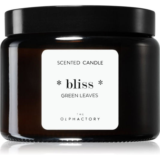 The Olphactory, Bliss Green Leaves, Green Leaves, Scented Candle, 360 g